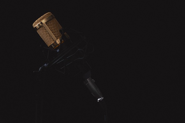 microfono voce dizione recitazione teatro